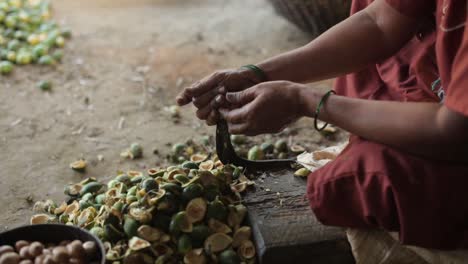 Woman-peeling-shells-of-areca-nuts-on-metal-tool,-close-up-of-hands
