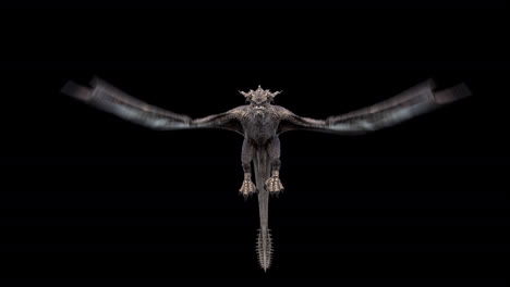 Realistische-Libellen-Fliegen-Vor-Der-Kamera-Auf-Schwarzem-Hintergrund