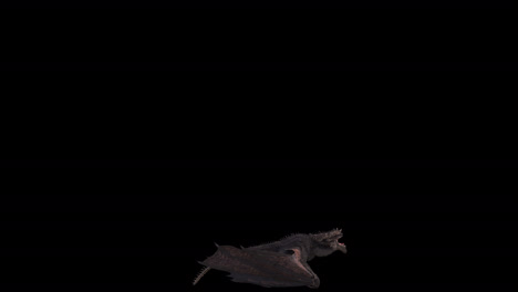 Realistic-dragon-landing-on-black-background