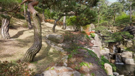 árboles-Y-Pequeña-Cascada-En-El-Arboreto-Hwadamsup-En-Gyeonggi-do,-Corea-Del-Sur