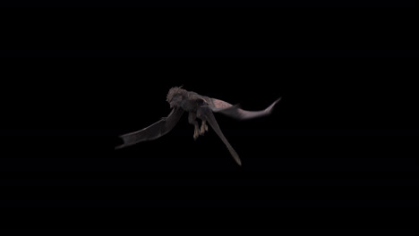 Realistic-dragon-taking-off-from-the-ground-on-black-background