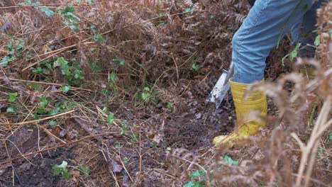 A-mature-man-digging-hole-in-the-woods-for-tree-planting