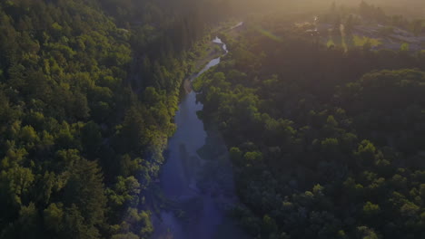 Healdsburg-Luftaufnahme-über-Waldvogelperspektive,-Ansteigende-Neigung-Nach-Oben-Del-Rio-Wald-Dunstig-Sonnendurchflutete-Waldhänge