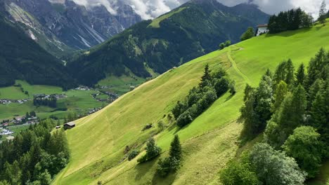 Hermosa-Pradera-Veraniega-Cerca-De-Neustift-En-El-Valle-De-Stubai-Austria,-Con-El-Pico-De-La-Montaña-Elfer-Al-Fondo
