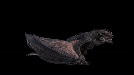 Realistic-dragon-standing-idle-on-black-background
