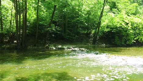 A-vivid-green-forest-traversed-by-a-peaceful-small-river-and-with-a-beam-of-sun