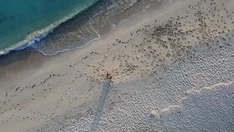 aerial-view-of-a-couple-standing-on-the-beach