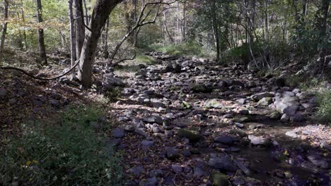 Rocky-creek-bed-with-running-water-in-summer