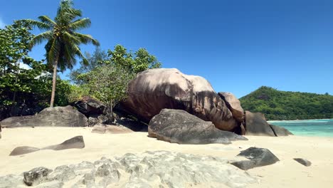 Mahe-Seychelles,-revealing-of-rock-boulders-and-palm-trees