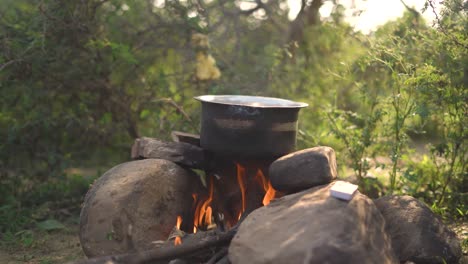 Side-shot-of-Outdoor-cooking-of-Indian-food-in-a-pot-on-campfire-flames-in-nature-,-India