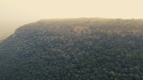 Eine-Lange-Luftdrohnenaufnahme-Eines-Gruseligen-Hügels-In-Einem-Dichten-Wald-Von-Gwalior,-Madhya-Pradesh,-Indien