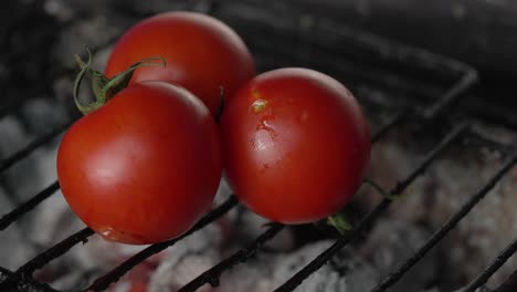 Cook-puts-tomatoes-on-charcoal-fire-grill-to-prepare-healthy-Mediterranean-cuisine