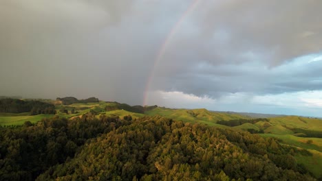 Regenbogen-über-Neuseeländischem-Buschwald