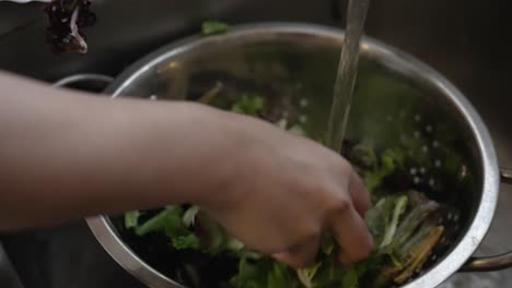 Female-Chef-Placing-Lettuce-Leaves-Into-Metal-Colander-With-Water-Pouring-Over