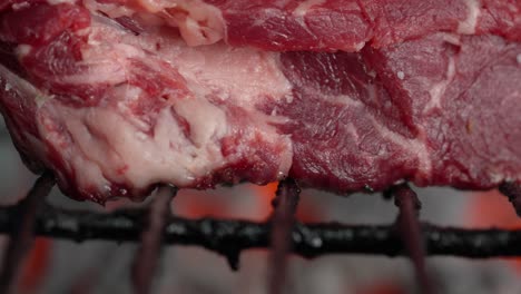 Close-up-of-grilled-fillet-steak-over-charcoal-grill