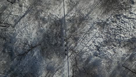 Group-of-people-hike-in-frozen-white-winter-forest-snowy-path,-aerial-overhead