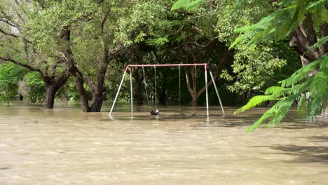 Eine-Schaukel-Unter-Wasser-Auf-Einem-Spielplatz-In-Brisbane-Während-Der-Überschwemmungen-Im-Februar-2022