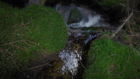 Ein-Oberer-Schuss-Eines-Kleinen-Bachs-Mitten-Im-Wald-Mit-Kristallklarem-Wasser,-Das-Die-Mit-Grünem-Moos-Bedeckten-Felsen-Hinunterstürzt