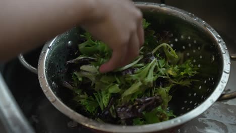 Die-Hand-Der-Köchin-Schüttelt-Metallsieb-Mit-Salatblättern,-Um-Wasser-Abzulassen