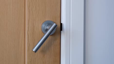 Generic-modern-interior-wooden-oak-panel-door-with-brushed-aluminium-silver-metal-door-handle-moving-up-and-down