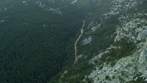 Aerial---Forest-road-from-a-great-height-between-mountains---Shot-on-DJI-Inspire-2-X7-RAW