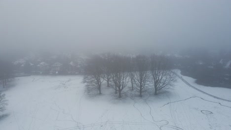 Antena-De-Un-Grupo-De-árboles-En-Un-Parque-Cubierto-De-Nieve-Desapareciendo-En-La-Niebla-Mientras-El-Dron-Tira-Hacia-Atrás