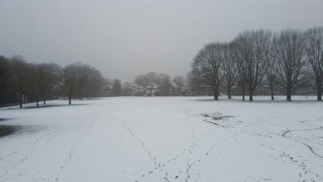 Niedrige-Antenne-über-Schneebedecktem-Park-Mit-Spuren-Im-Schnee