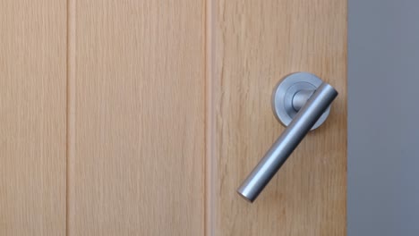 Interior-brushed-aluminium-door-handle-opening-closing-modern-or-contemporary-interior-wooden-oak-panel-door