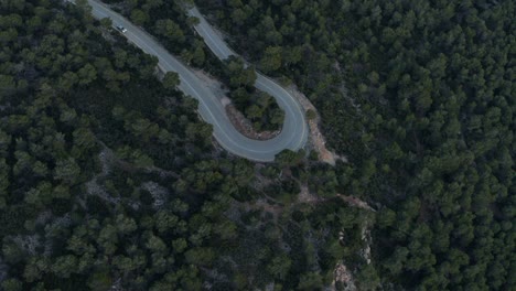 Aerial---Curved-forest-road-from-above---Shot-on-DJI-Inspire-2-X7-RAW