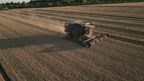 Establishing-Drone-Shot-of-Combine-Harvester-Harvesting-Barley-at-Golden-Hour-Sunset-UK