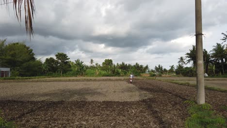 Rice-Field-Farmer-Working-with-Sowing-Machine-at-Dry-Paddy,-Bali,-Gianyar,-Balinese-Soil,-Agriculture-in-Indonesia,-Southeast-Asia-in-Cloudy-Day