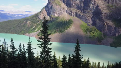 Low-tree-top-flight-to-glacial-green-Lake-Louise,-Banff-National-Park