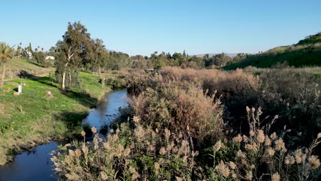 Lash-green-during-the-winter--the-Jordan-river--Yardenit-baptism-holy-Christian-site--Religious-tourism--Northern-Israel