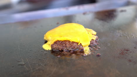 Heating-a-cheeseburger-on-the-grill