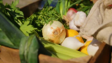 Frisches-Gemüse-In-Einer-Braunen-Kiste-An-Einem-Sonnigen-Tag-Im-Sommer