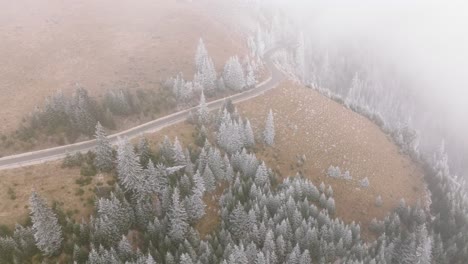 Überholschuss-Von-Grünem-Urwald-In-Den-Bucegi-Bergen,-Rumänien
