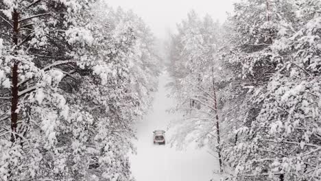 Tracking-aerial-shot-of-a-car-driving-through-a-scenic-winter-landscape-forest,-drone-shot-of-car-driving-in-a-snow-woodland