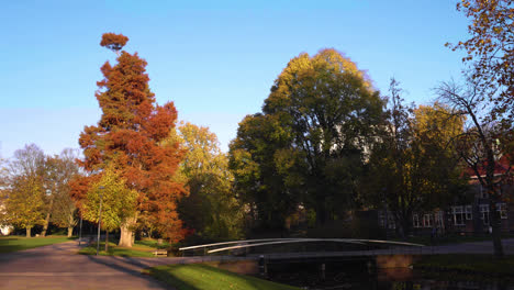 Bäume-In-Einem-Stadtpark-Im-Herbst