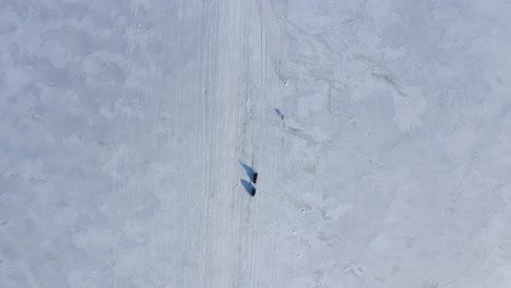 Top-down-drone-video-of-dog-running-on-icy-lake-in-front-of-a-snowmobile