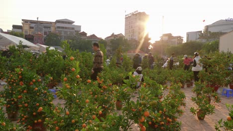 Static-shot-of-people-picking-fresh-oranges-at-a-street-market-in-Lang-Son