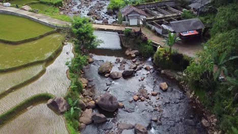 drone-shot,-river-in-the-countryside-in-a-green-rice-field-area-that-stretches