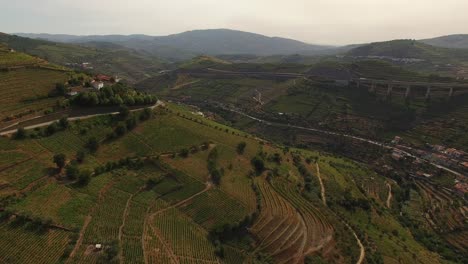 Flying-Over-Famous-Moutains-Vineyards