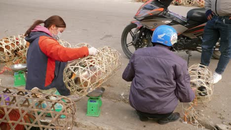 Static-shot-of-chickens-on-sale-in-woven-cages-on-the-streets-of-Lang-Son,-Vietnam