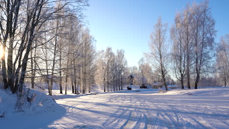 Frozen-birch-trees-and-small-rural-village-in-distance,-winter-season-with-bright-sun