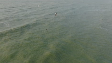 Establishing-aerial-view-of-a-group-of-people-engaged-in-kitesurfing,-overcast-winter-day,-high-waves,-extreme-sport,-Baltic-Sea-Karosta-beach-,-birdseye-drone-shot-moving-forward