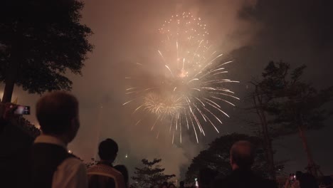 Personas-Viendo-Las-Celebraciones-De-Fuegos-Artificiales-Del-Año-Nuevo-Lunar