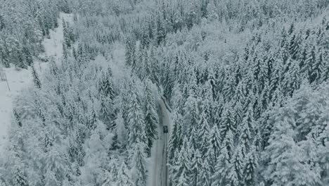 Flying-over-snow-covered-tree-tops-in-Norway