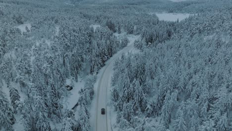 Verschneite-Landschaft-In-Norwegen-Mit-Schneebedeckten-Baumwipfeln