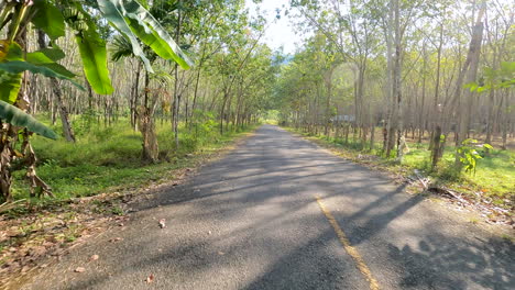 Paseo-Lento-En-Moto-Por-El-Bosque-De-La-Selva-En-El-Desierto-De-Phuket