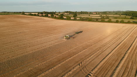 Establishing-Drone-Shot-of-Claas-Combine-Harvester-and-Tractor-with-Trailer-Working-at-Sunset-Golden-Hour-in-Yorkshire-UK
